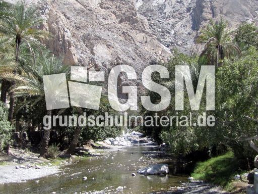 295 Rustaq, hei·e Quelle Ain al Kasfah.JPG